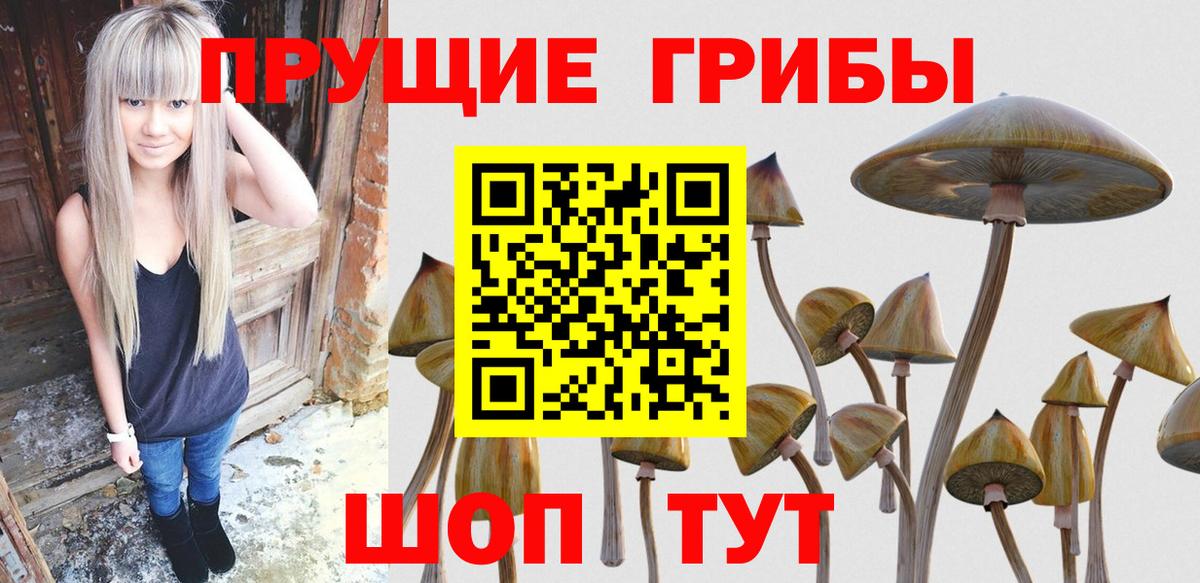 Волгоград  Галлюциногенные грибы MAGIC MUSHROOMS  Псилоцибиновые грибы Psilocybine cubensis  Вход с VPN 