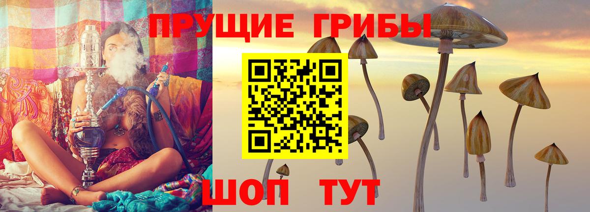 Псилоцибиновые грибы Psilocybine cubensis Волгоград